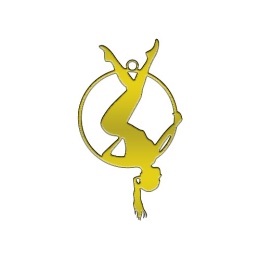 Zawieszka Aerial Hoop 004 pozłaczana