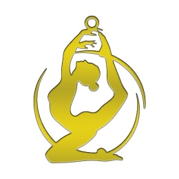 Zawieszka Aerial Hoop 005 pozłaczana